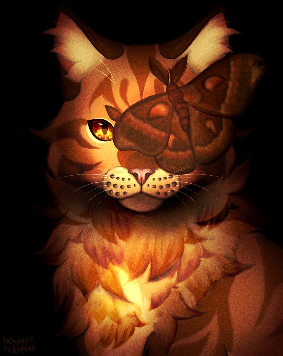 Jaylight_Night's tweet photo. Mothwing

Redrawing ai art :3

#mothwing #warriorcats https://t.co/DN5VP13Ehg