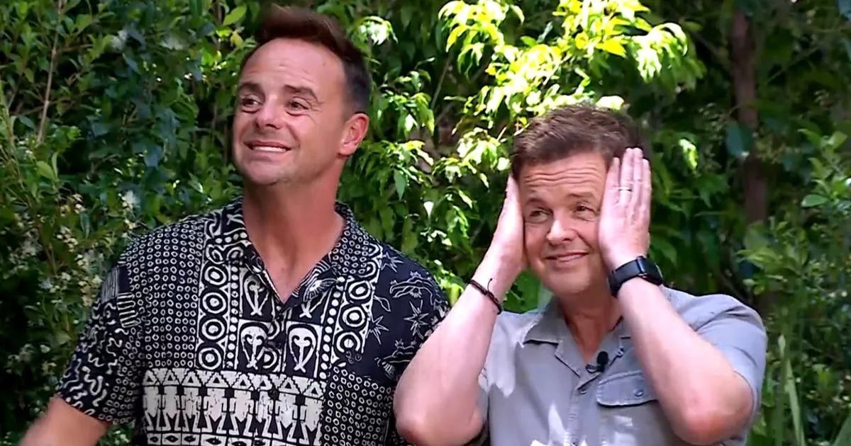 MirrorTV's tweet photo. I'm A Celeb's Ant and Dec 'to be replaced' as new duo 'coming for their jobs' https://t.co/qvPtAlb0Pz #ImACeleb https://t.co/lOV87R6CxE