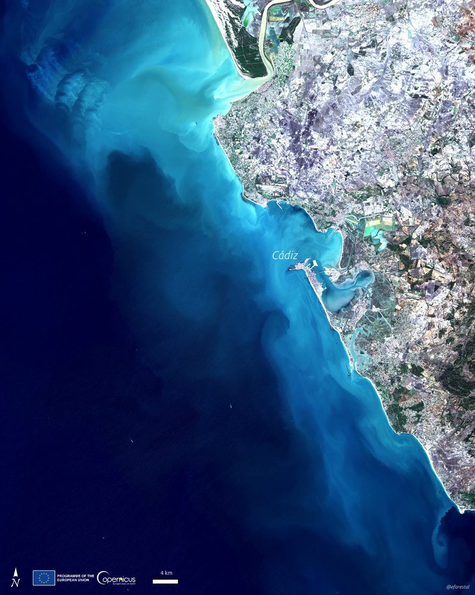Costa gaditana a vista de satélite hoy.

(Imagen #Sentinel2 de 🇪🇺<a href="/CopernicusEU/">Copernicus EU</a>. Editada por <a href="/eforestal/">educación forestal🇪🇺</a>) #Cádiz #Andalucía #Spain