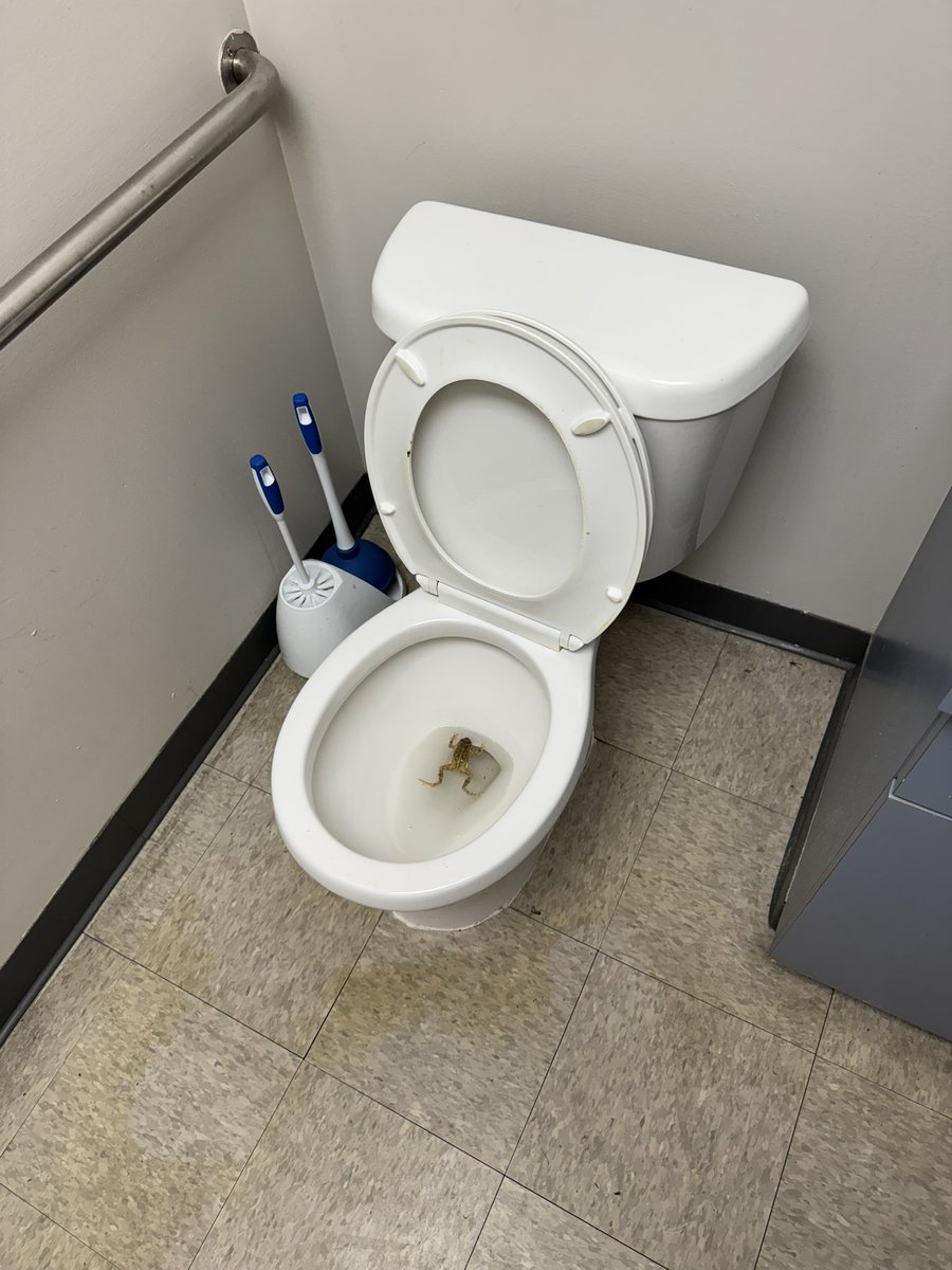 CORNdiff's tweet image. 