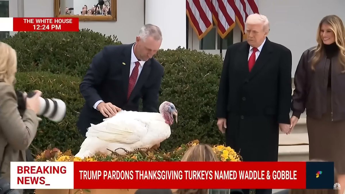 Trump ceremonially pardons turkeys Democrats push back arguing he did not receive Congressional approval and mumbling something about the turkeys receiving pardons simply because they're white. 

Protests expected nationwide.