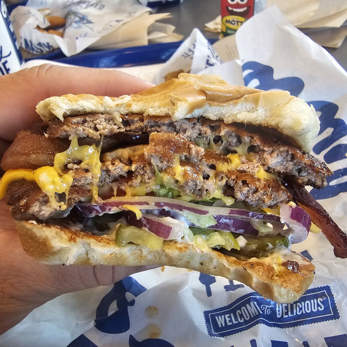 𝕁𝕒𝕪 𝔹𝕠𝕓 & 𝕊𝕠𝕟𝕤 tweet media