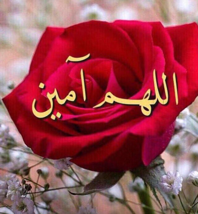 مـلاگ tweet media