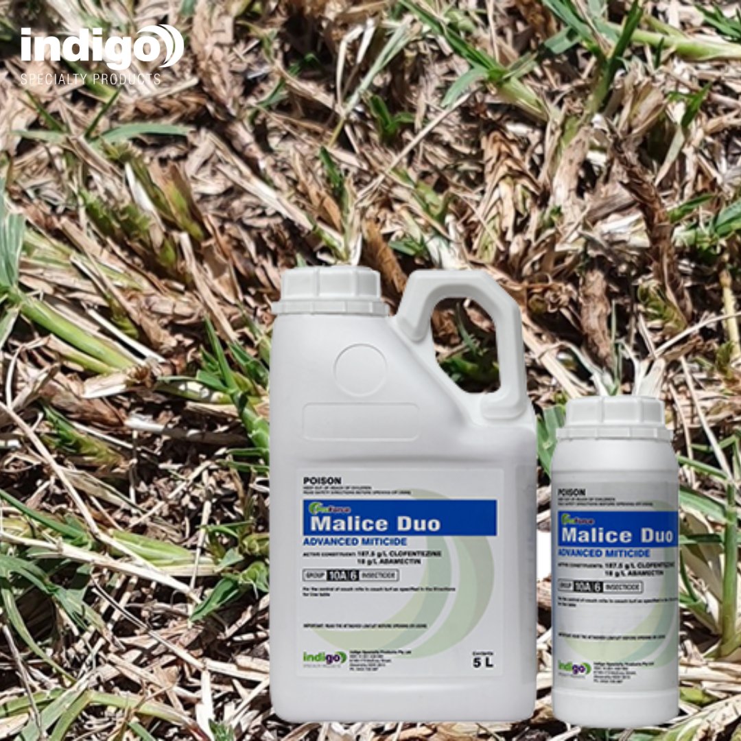 A key feature of ProForce Malice Duo is its effective knockdown &amp; residual activity of mite populations. It controls feeding stages of mites, whilst also controlling the egg &amp; early mite larval stages. #miticide Visit our website indigospecialty.com.au