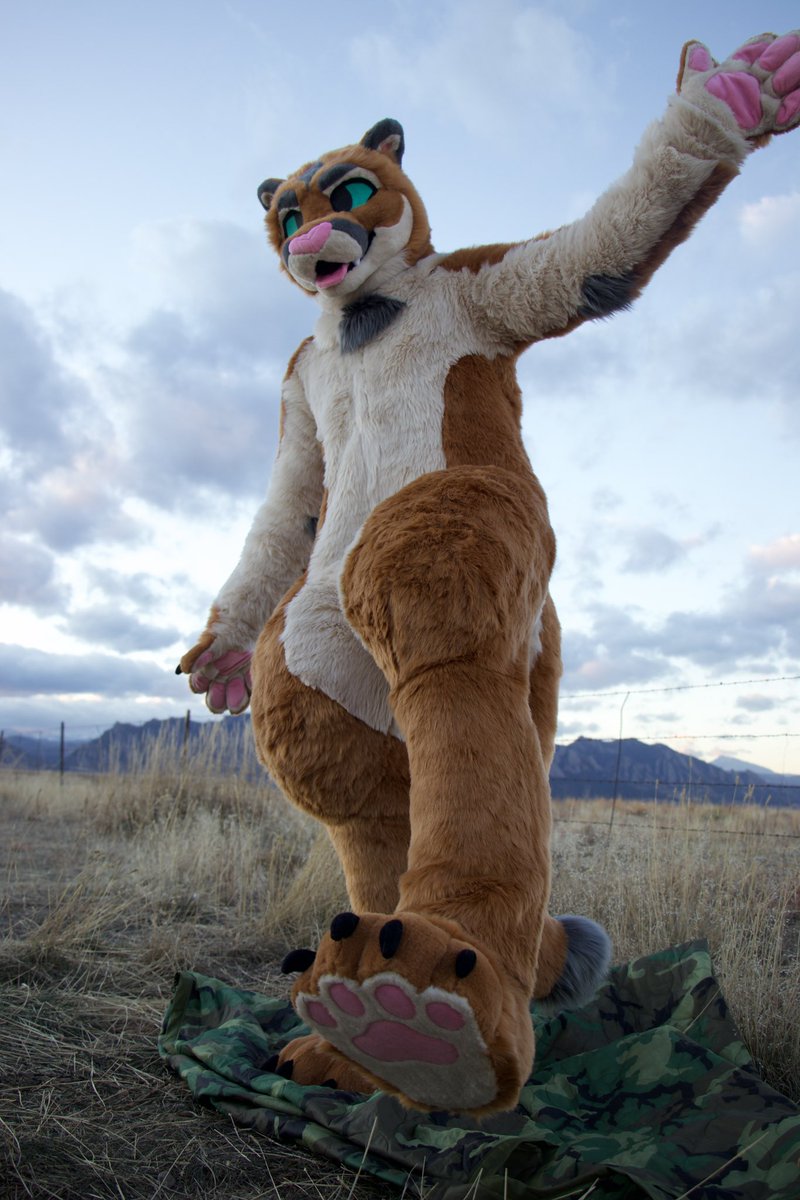 🏔️🪡 Front Range Fursuits 🪡 🏔️ tweet media