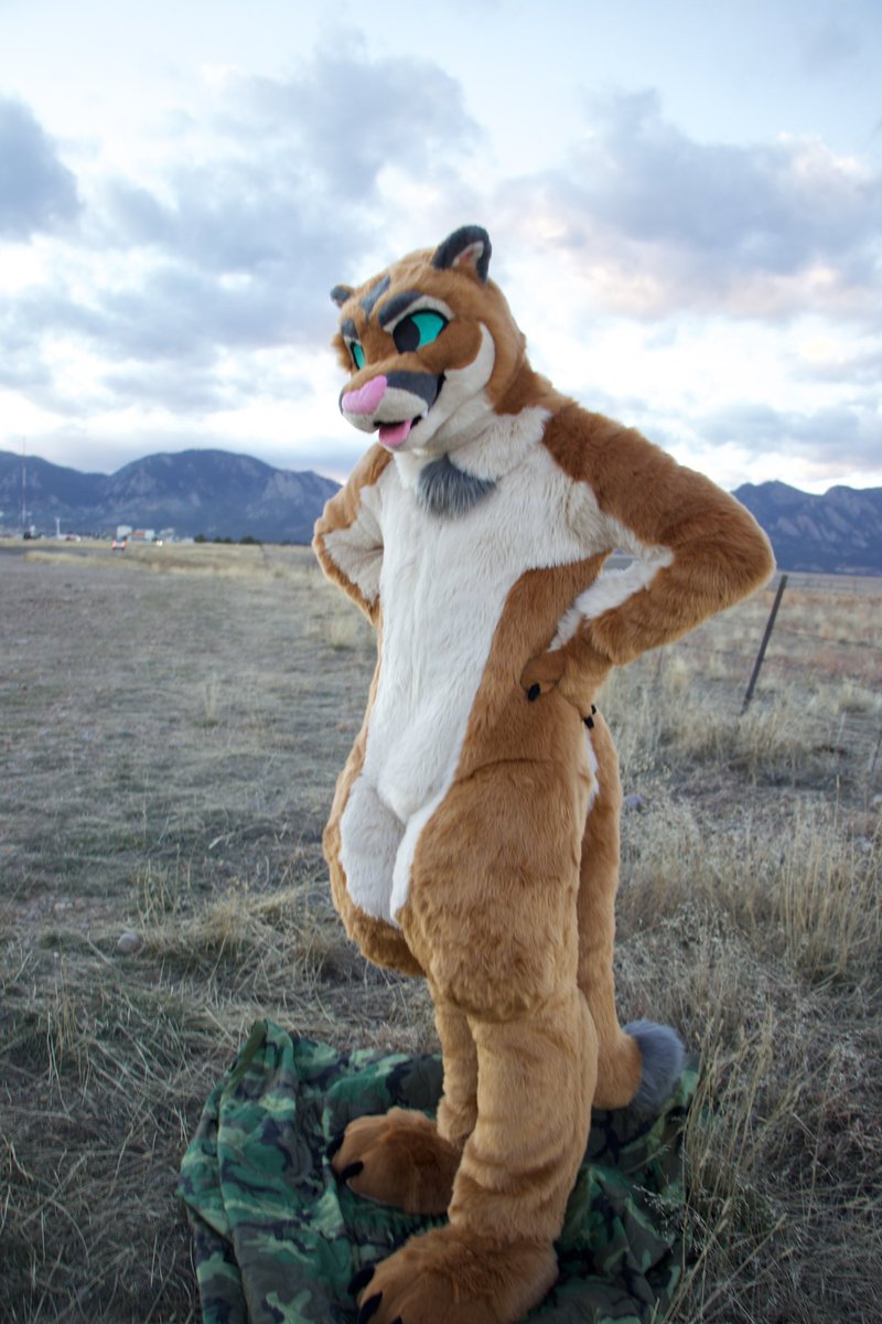🏔️🪡 Front Range Fursuits 🪡 🏔️ tweet media