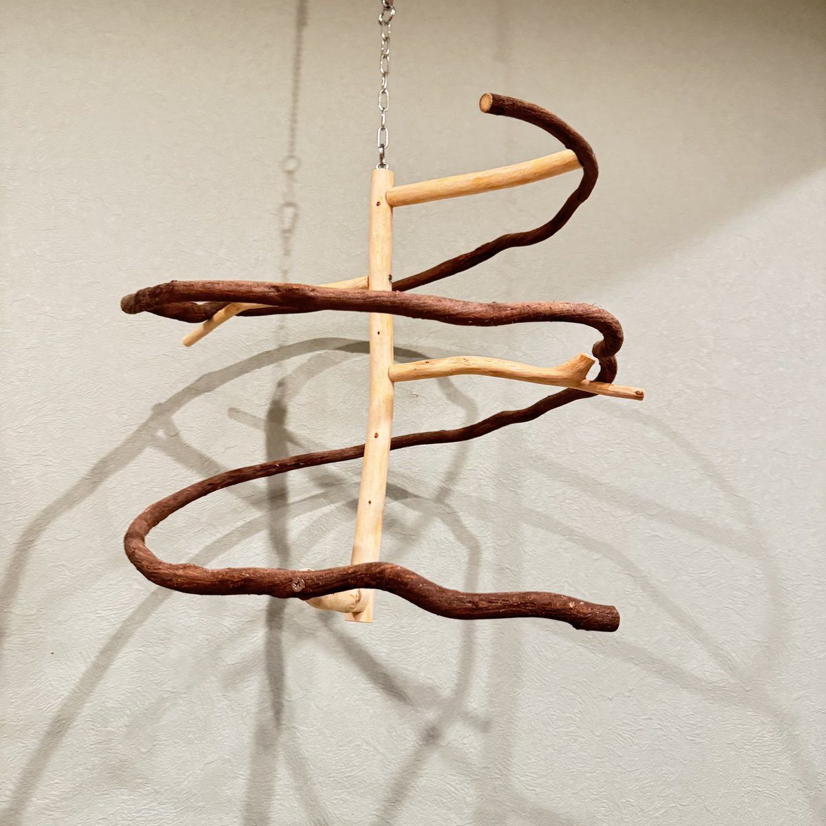 ひよこ豆@鳥豆堂【バードアスレチック・カクタスパーチ