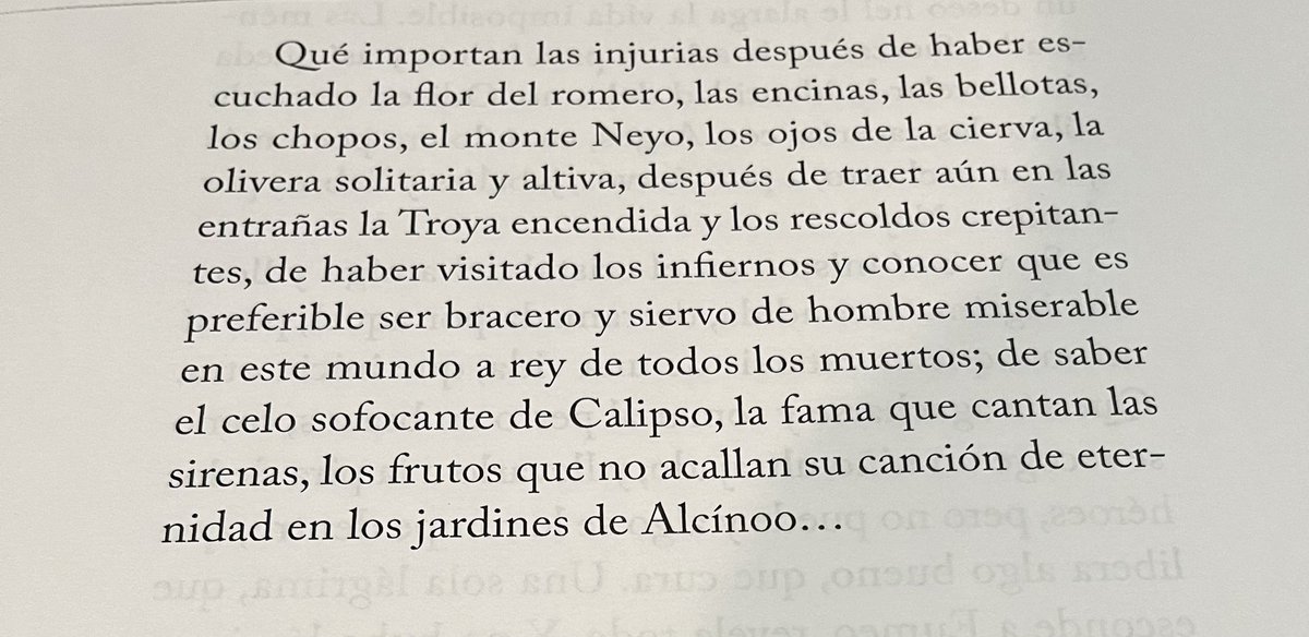 Pablo Velasco Q ‏ن tweet media