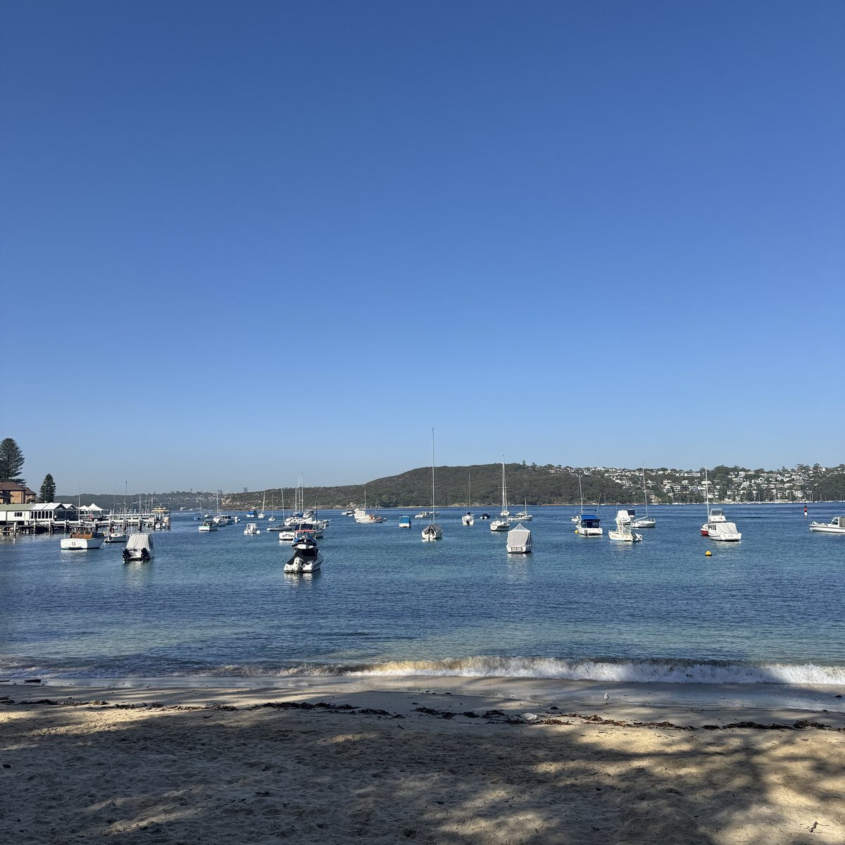 The outdoor classroom finds me in Manly this morning.
#enviroEd
#outdoorEd