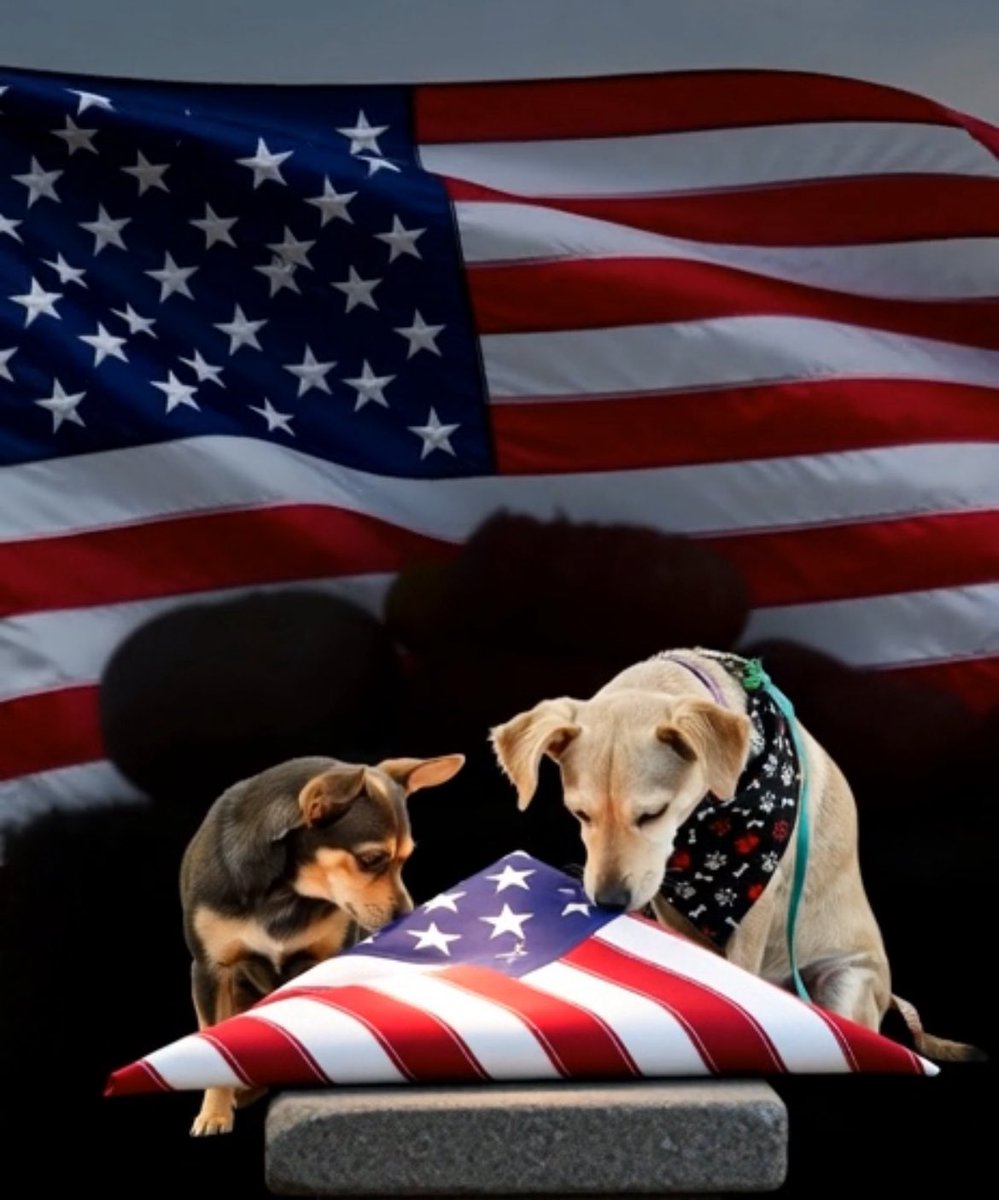 bandstreats's tweet image. We are praying for the families of the soldiers who were shot today in DC.