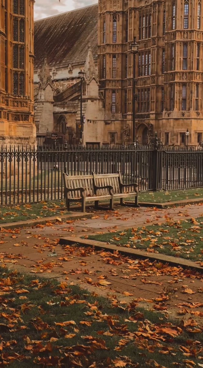 purelivn's tweet image. london in autumn 🍂