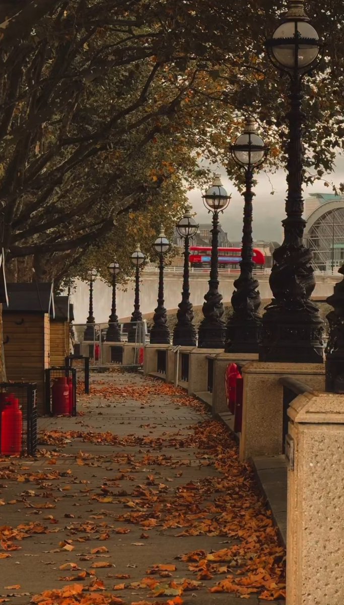 purelivn's tweet image. london in autumn 🍂