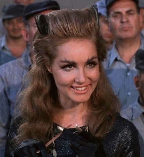 VOODOOBABY8's tweet photo. Still the only Catwoman worth talking about. Julie Newmar. #catwoman #julienewmar #batman #adamwest #batman66 #zine #fanzine #hoŕrormovies #horror #screamqueens #zombies #monsters #filmreviews #bigboobs #retrobabes #horrorart #culttv #cultmovies #vanpires https://t.co/oC2IZvsgex