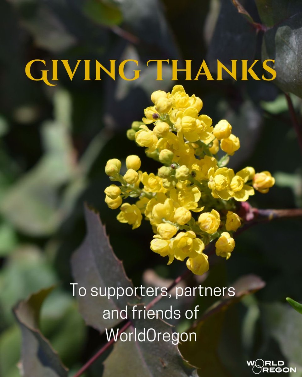 WorldOregon tweet media