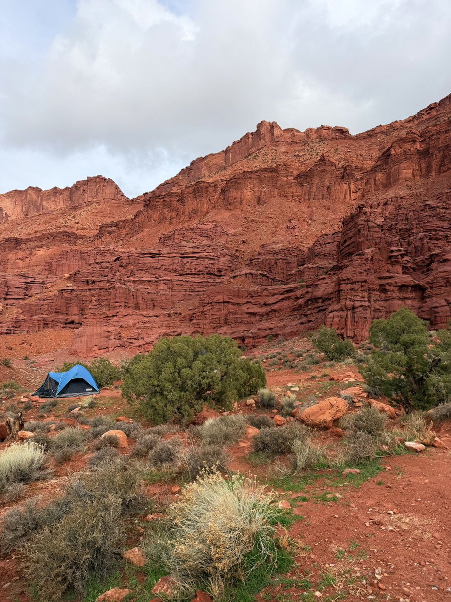 V_irvin_V's tweet image. 🏕️