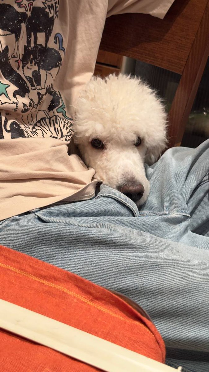 Скучает по мне сильно
Это взаимно