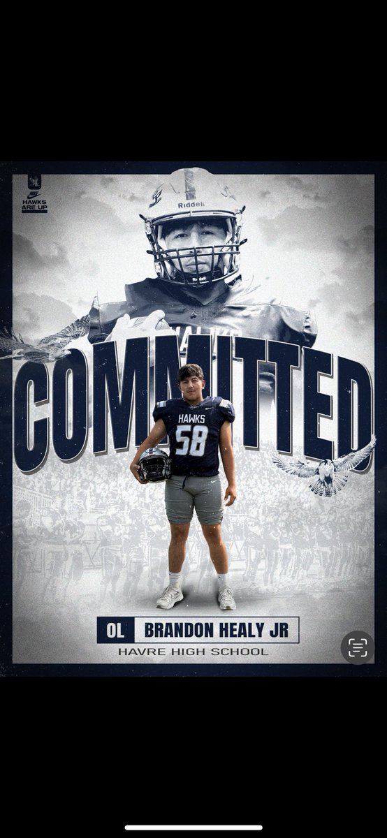 Brandon Healy tweet media