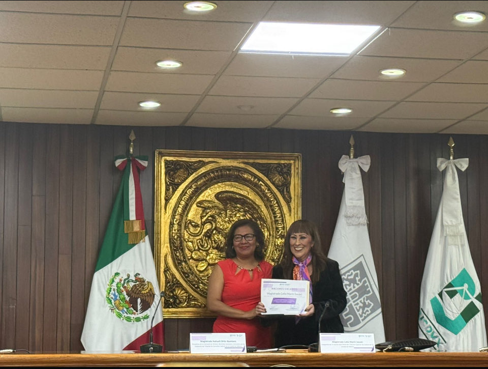 Agradezco a la magistrada Nayheli Ortíz  por invitarme a impartir la conferencia “La Función Judicial frente a la Violencia de Género” en el marco del #25N.
Sigo comprometida en alzar la voz y aplicar la perspectiva de género para transformar la vida de todas las personas 🧡