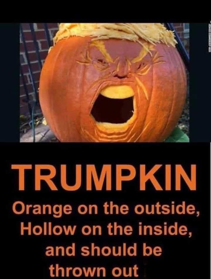 VM9081's tweet photo. @DonaldJTrumpJr Yah 🎃 https://t.co/hUnym3qpOa