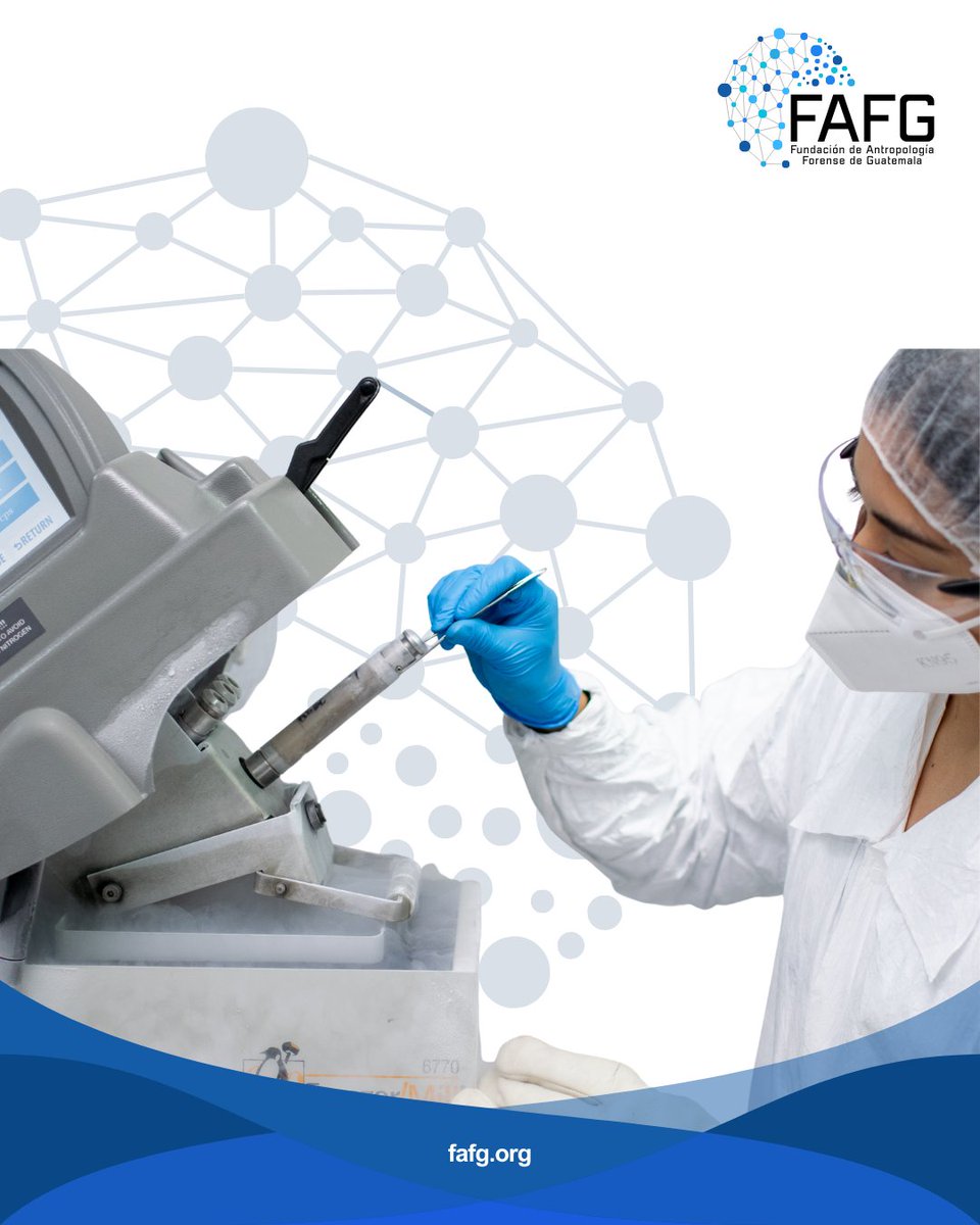 FAFGuatemala's tweet image. La ciencia forense ayuda a devolver nombres, verdad y dignidad.
¿Quieres saber cómo lo hacemos?”
👉 Búscanos en nuestro sitio web y comenta qué te gustaría conocer más. fafg.org
