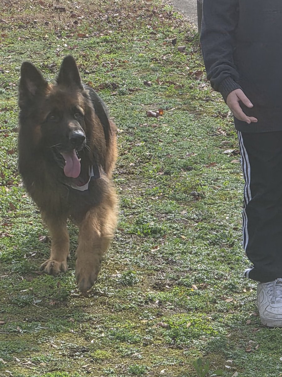 🍊🍊Capt'n Cornjuice🥃🥃 tweet media