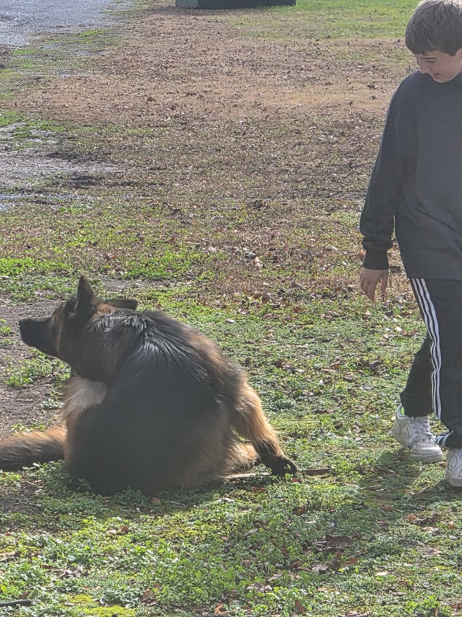 🍊🍊Capt'n Cornjuice🥃🥃 tweet media