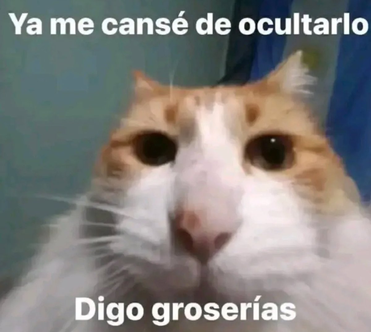 piña sin pizza (@skereunpesado) on Twitter photo 