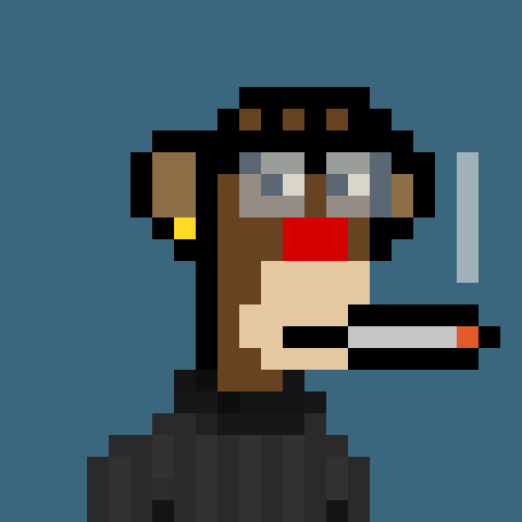 🧵 What is Evolastion?
A short thread explaining why I created 10,000 pixel apes that ignore everything the NFT world expects.
👇