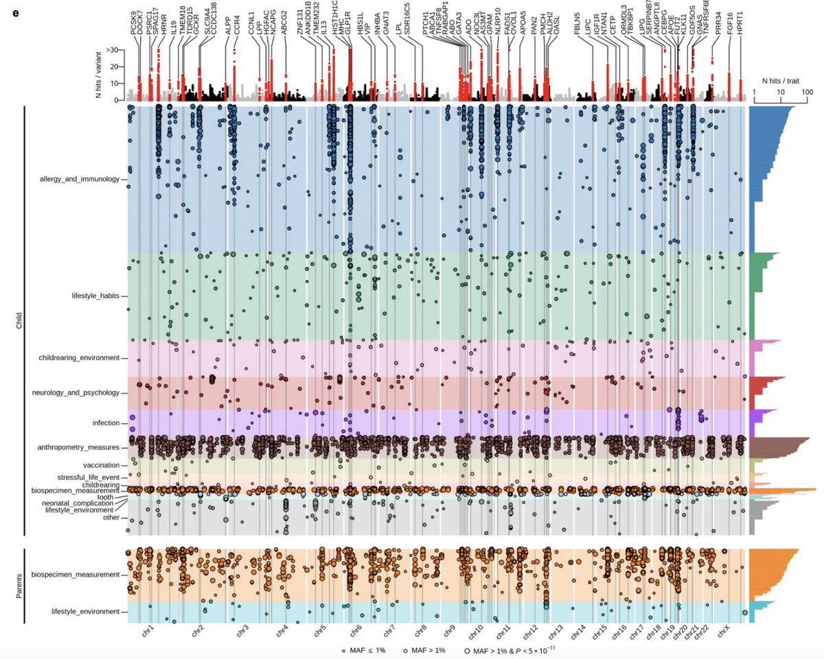Marios Georgakis tweet media