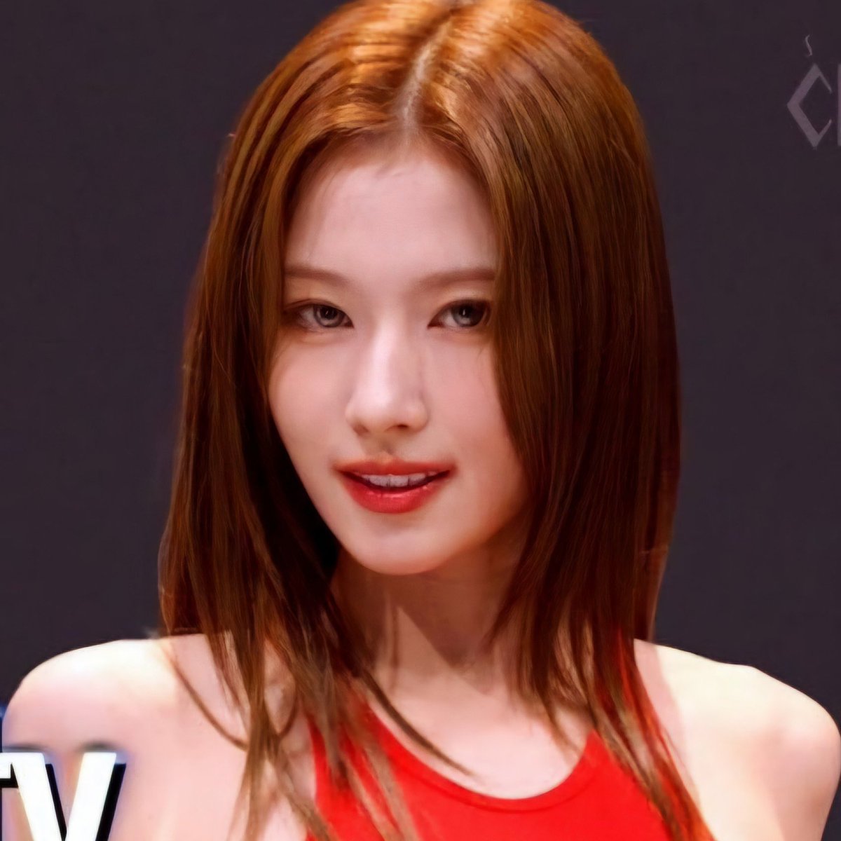 hotgirlsana's tweet image. the vampire sana multiverse.... do u guys see it