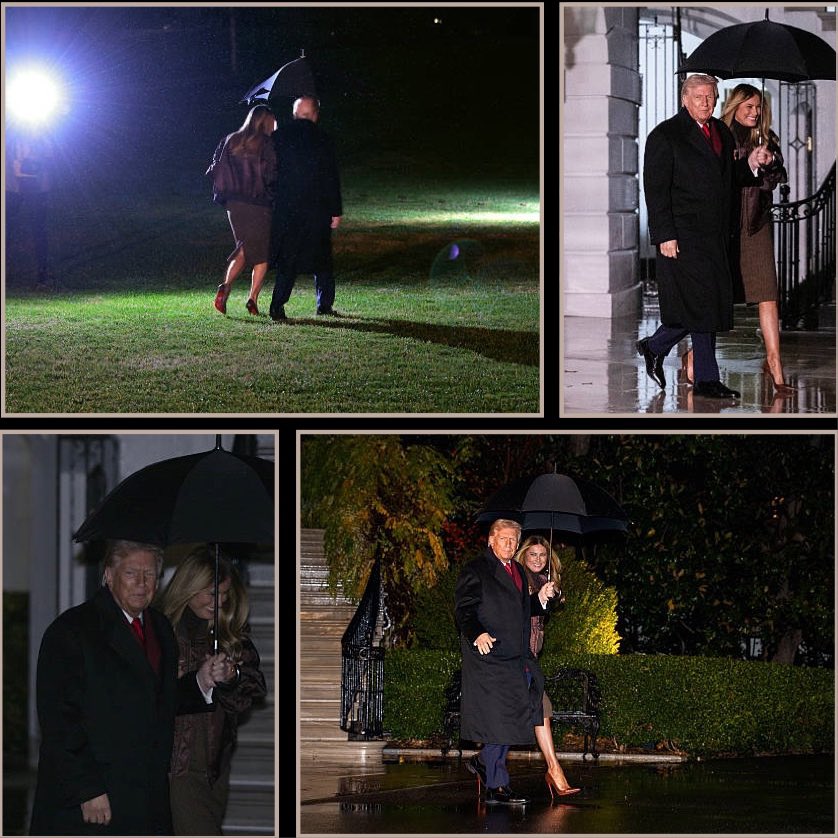 CattardSlim's tweet image. Send your complaints to the Whitehouse