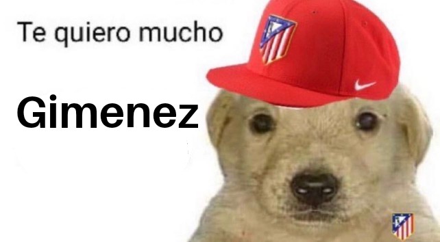 Toni🔴⚪(2,2% enjoyer) (@tonigonzlz) on Twitter photo 