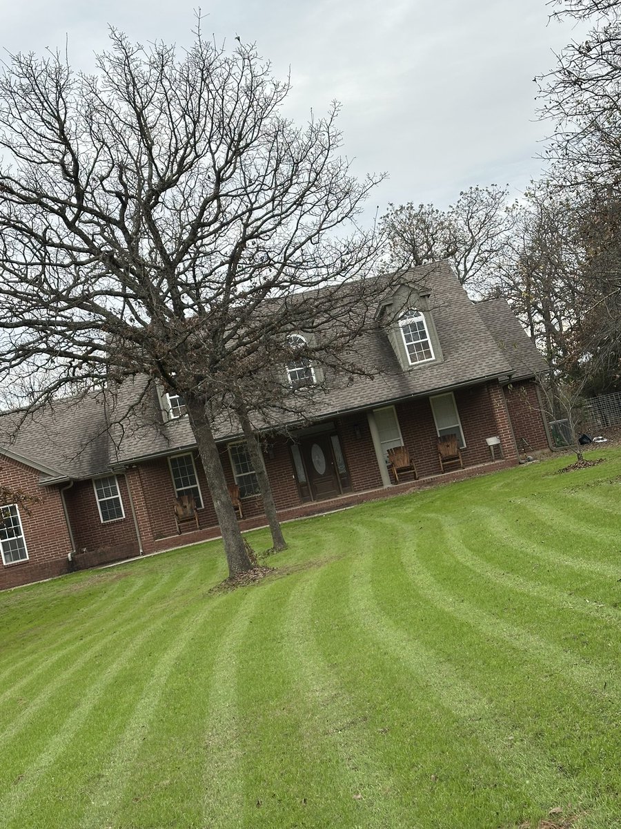 Official Strength Debates tweet media