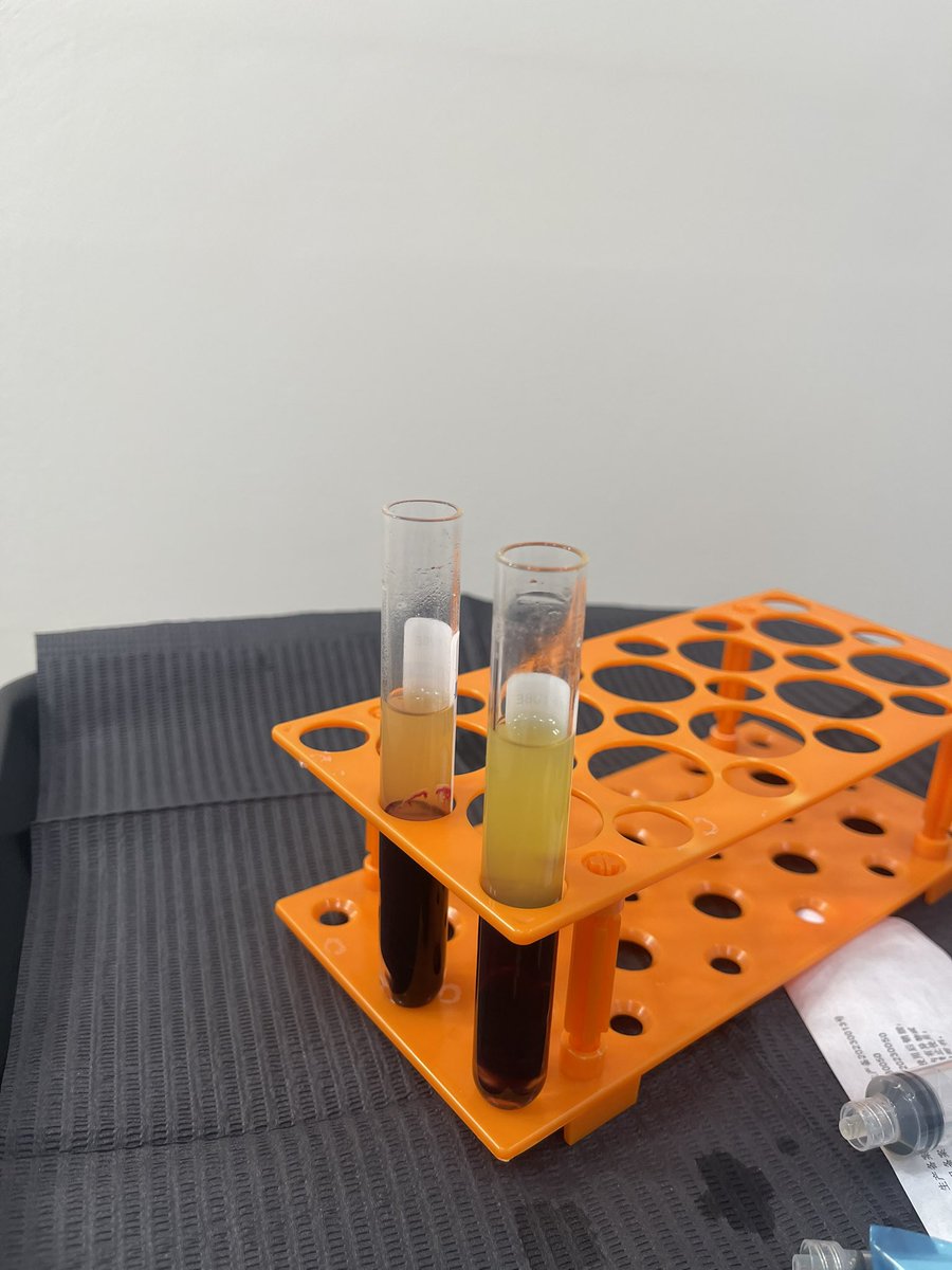 sourbrains's tweet image. 