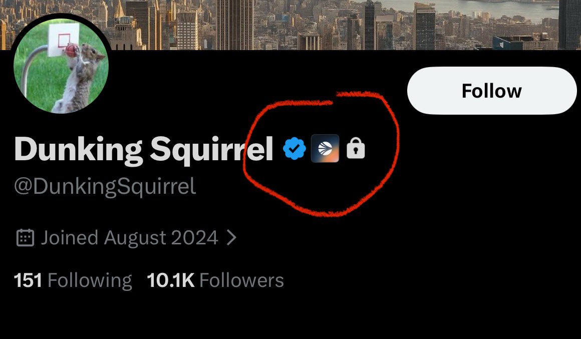 Little Rascal tweet media