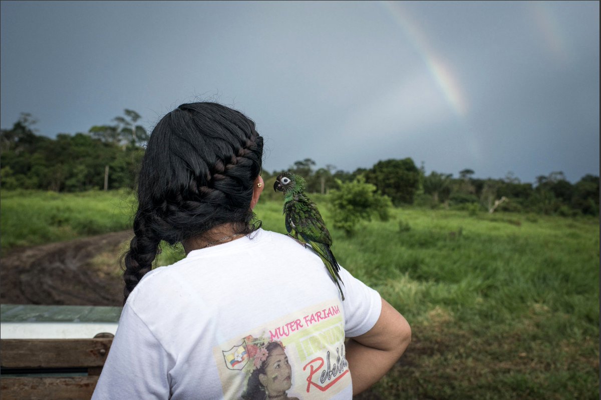 Francia expresa su reconocimiento a quienes trabajan cada día por la reconciliación y reafirma su compromiso de acompañar a Colombia en este camino hacia una paz estable y duradera.

#FranciaEnColombia🇫🇷🤝🇨🇴