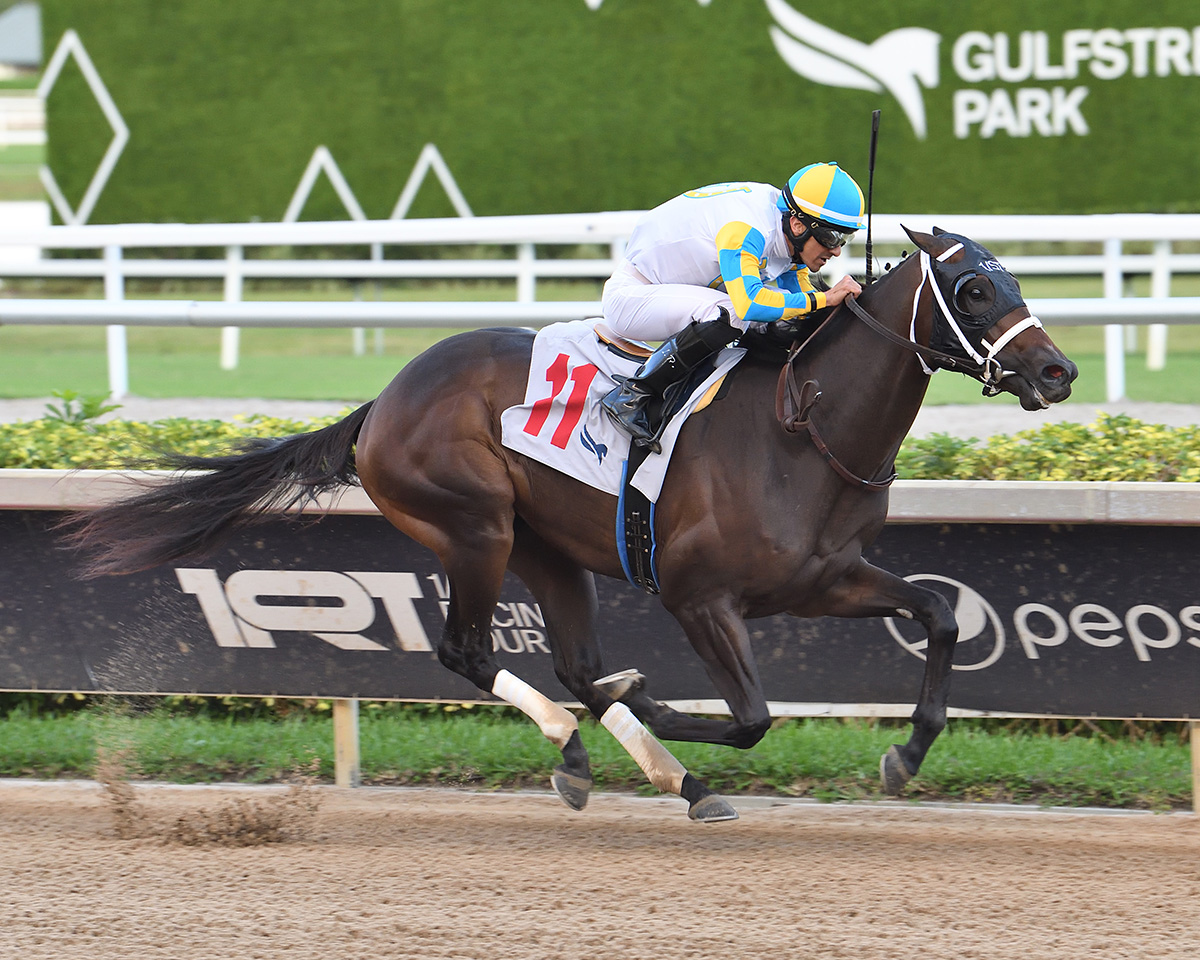 Inside This Issue of Wire to Wire 📣 Strong D’Angelo Duo Draws Inside for #FloridaSireStakes In Reality 💪 🏇 🏇 Read Now ⤵️
bit.ly/W2W26Nov25

<a href="/JFDAngelo/">Jose F D'Angelo</a> <a href="/DangeloStable/">José F. D'Angelo</a> <a href="/zayas_edgardo/">Edgardo Zayas</a> <a href="/ProRacingStable/">ProRacing Stable LLC</a> <a href="/OcalaStud/">Ocala Stud</a> <a href="/esoued/">Eli Soued</a> <a href="/JourneymanStud/">Journeyman Bloodstock Services, Inc.</a> <a href="/GulfstreamPark/">Gulfstream Park</a> @VideoHipico