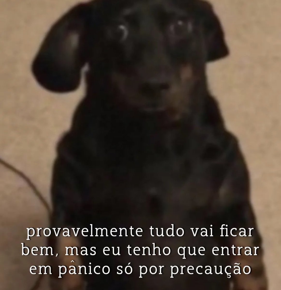 vittor (@vittor) on Twitter photo 