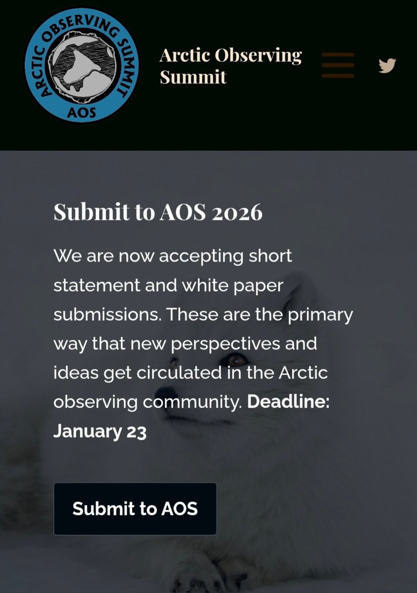 Arctic Institute tweet media