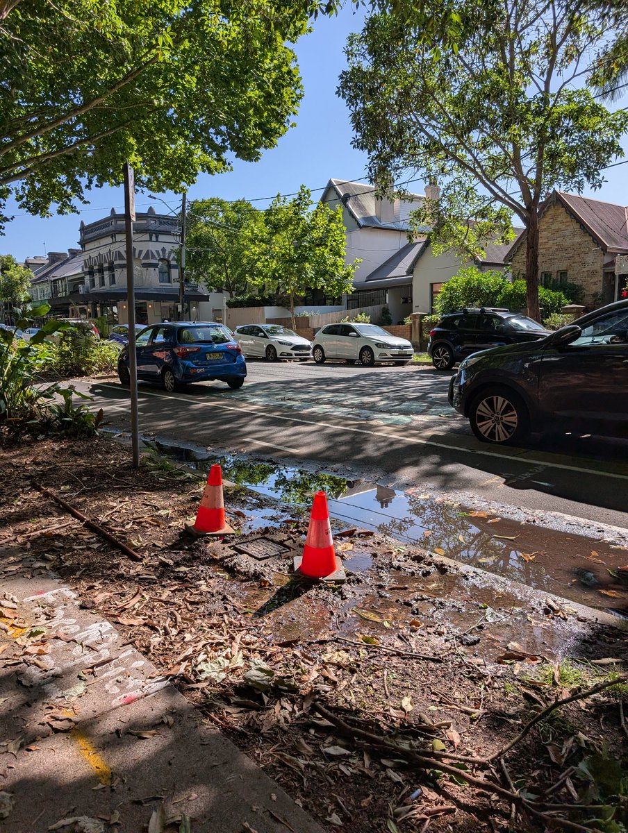 David Ross tweet media