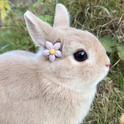 meriiiembk's tweet photo. #NouvellePhotoDeProfil https://t.co/P1JjMiUb5i