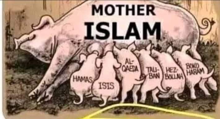 boxguyandrew's tweet photo. @AllahGreatQuran https://t.co/4b3SidxNKn