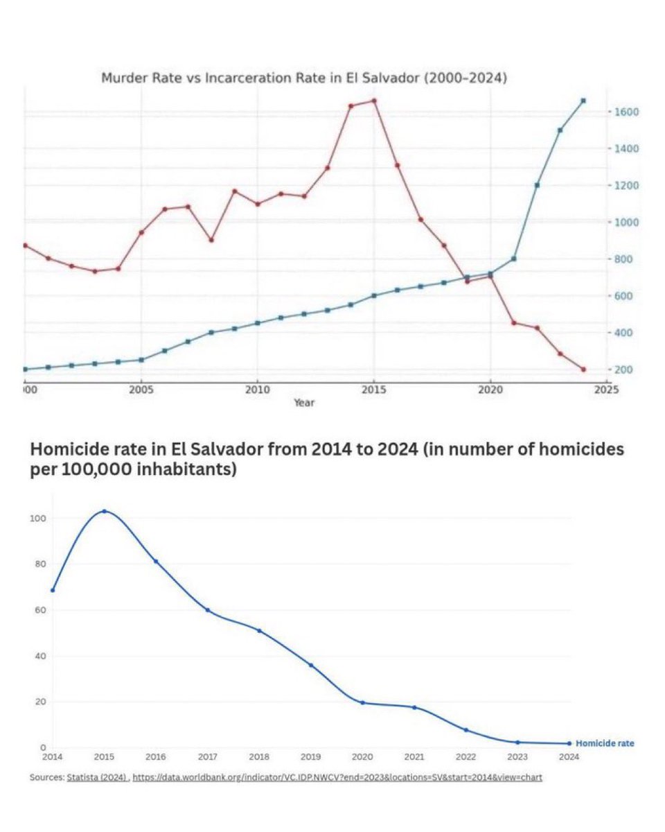 The Rabbit Hole tweet media