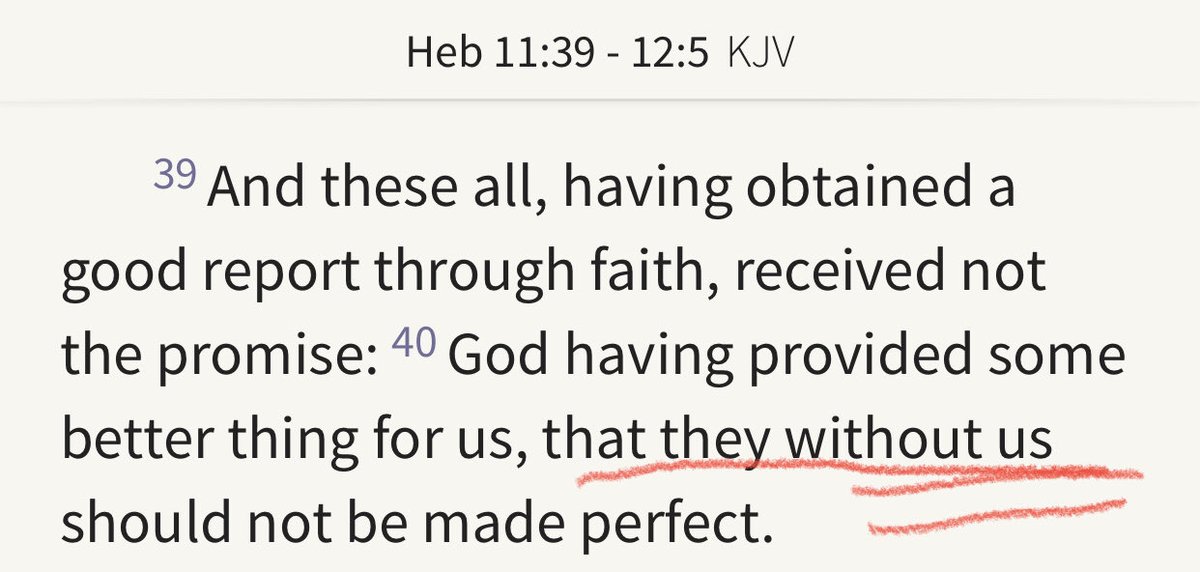 dirk walstead tweet media