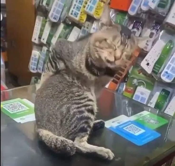 Chicos me duele la espalda de tanta chamba