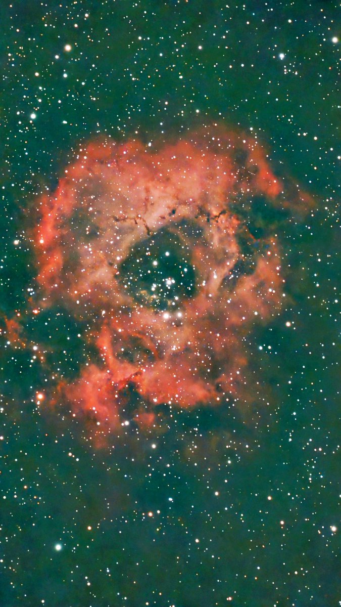 Locomotive38 (@locomotive38) / Posts / X