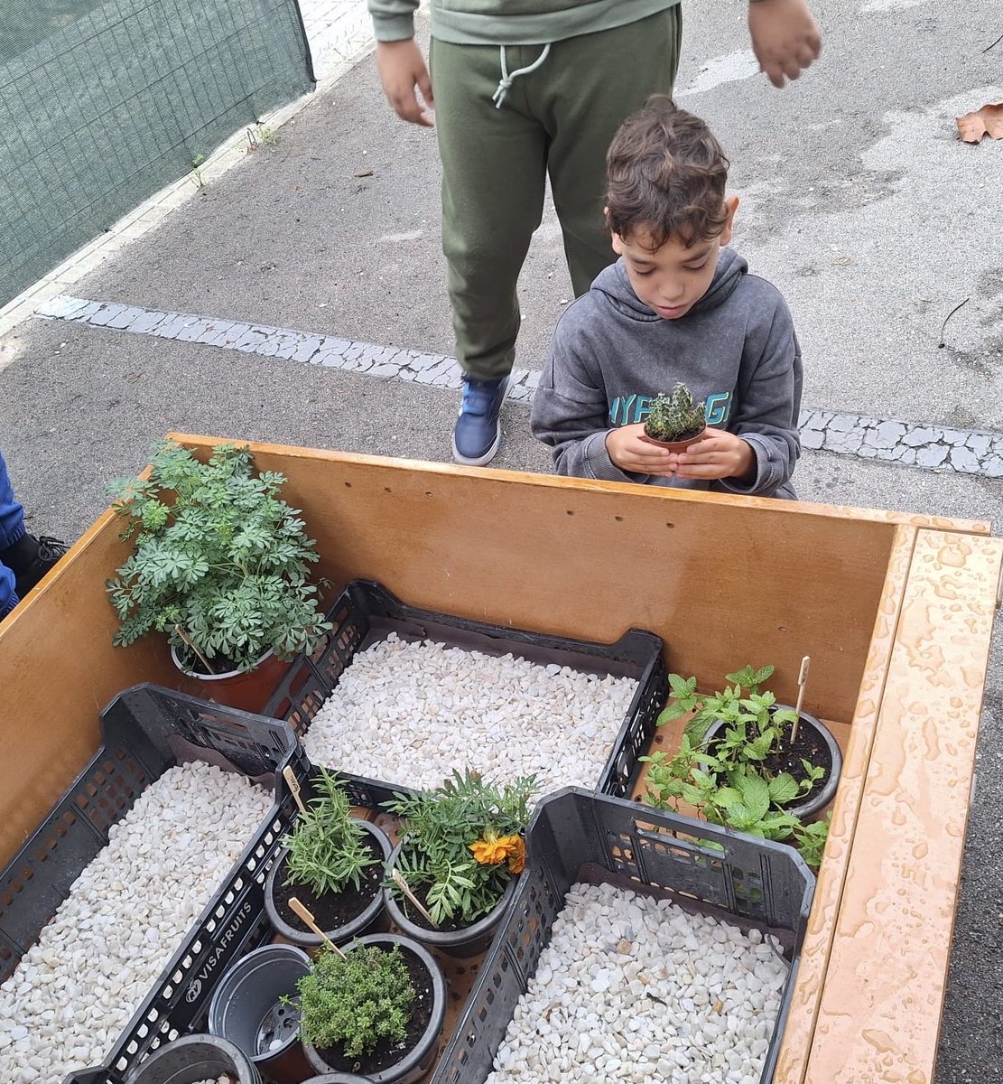 Projecte de l’Hort al SIEI d’ESO
Aquest curs, des del SIEI d’ESO, hem engegat un projecte d’hort escolar per oferir aprenentatges vivencials, manipulatius i adaptats a les necessitats dels nostres alumnes.

instagram.com/p/DRiUIvMCCTE/…
#ieperelliscart #secundàrialliscart #Curs2025i26