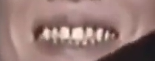bluemontauk's tweet image. Bro, if you slow it down, you can see those teeth disintegrate and come back together multiple times 🐍