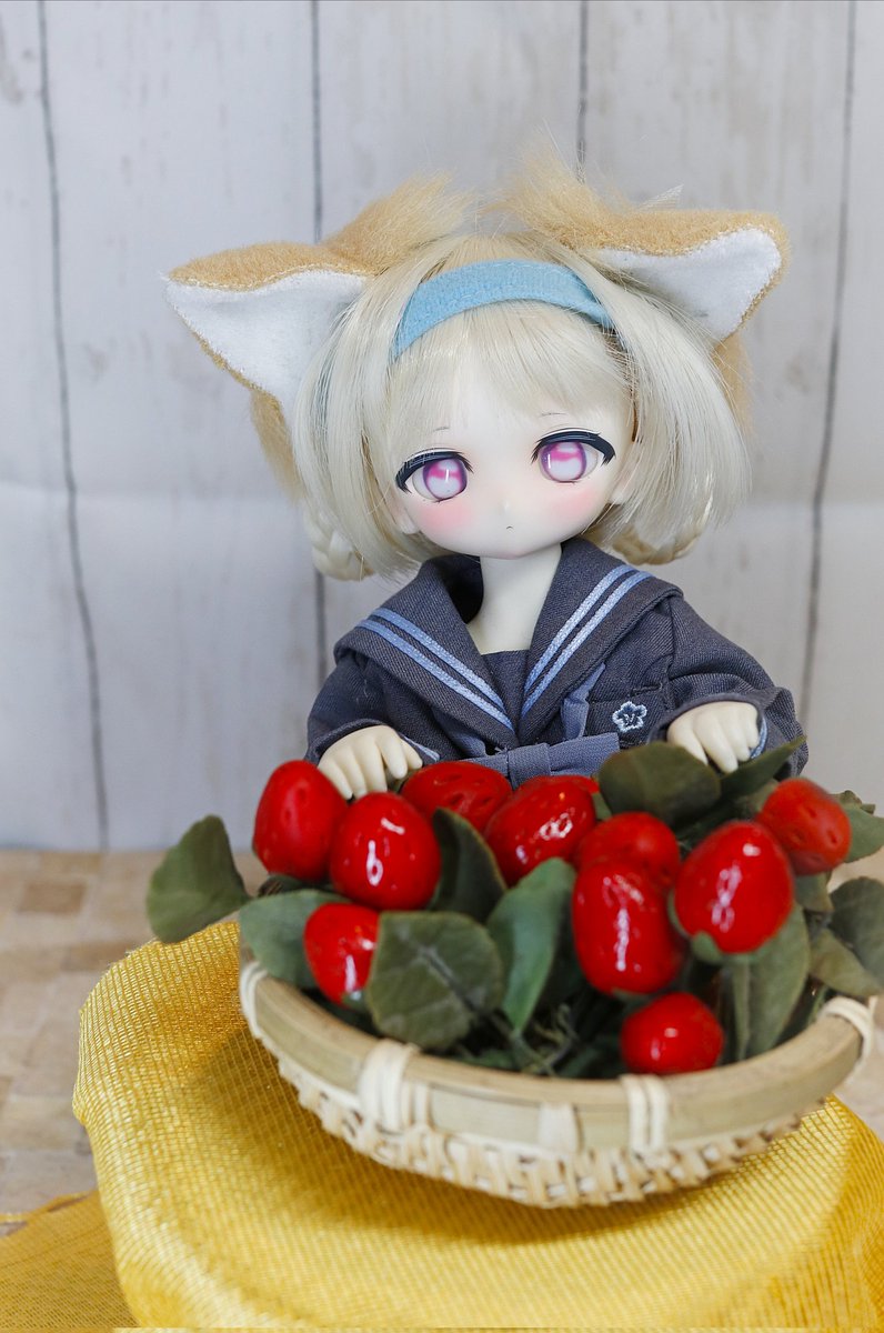 おはようございます(#^.^#)