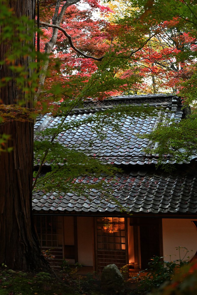 sssrrrsssddd's tweet photo. 教林寺 https://t.co/ymofXsDWyA